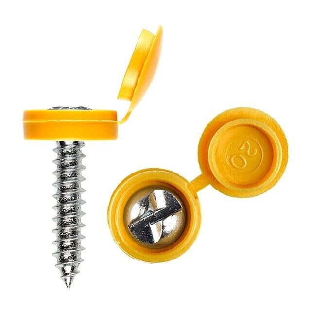 Anti-Theft Screws Number Plate Screws Tamper Proof Clutch Head Security Screws